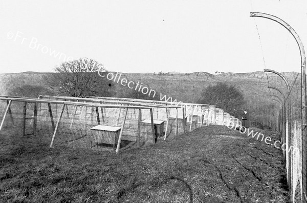 SILVER TOM FARM BALLYFEA GENERAL VIEW OF KENNELS